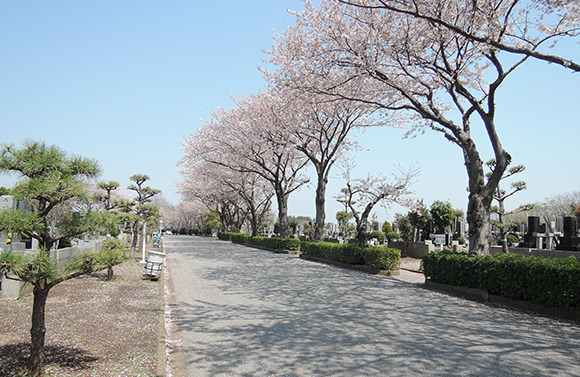 馬込霊園風景③