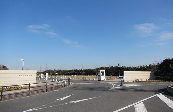 浦安市墓地公園風景②