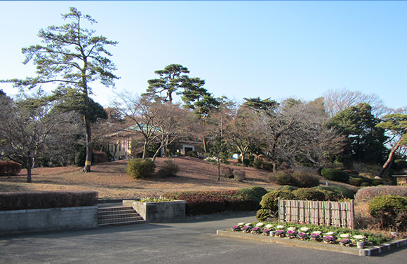 都立八柱霊園風景③