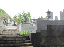 現場確認・墓地測量